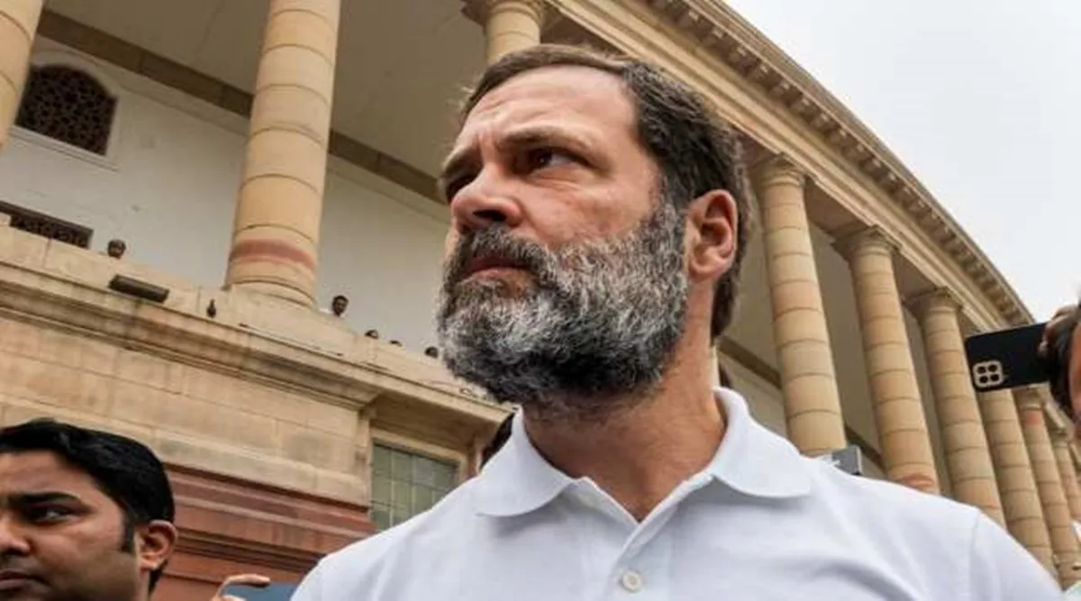 Court to decide if Rahul Gandhi is holding dual Citizenship