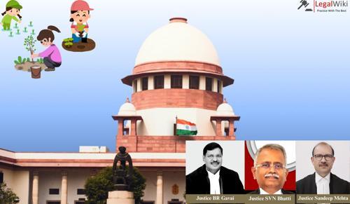 SC issues directions for preservation to protect Sacred Groves