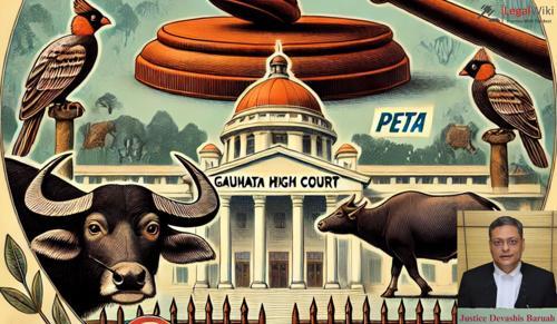 Gauhati HC Bans Buffalo and Bulbul fights after PETA’s petition