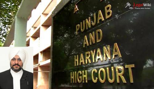 Daughter-in-Law Liable for Mother-in-Law's Maintenance After Compassionate Job: P & H Court
