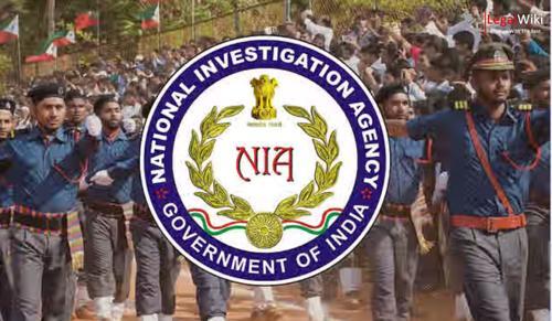 NIA Achieves Unprecedented 100% Conviction Rate in 2024