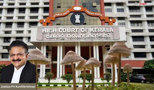 Kerala High Court: Magic Mushrooms Not A Narcotic Substance Under NDPS Act