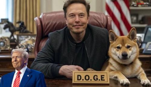 Elon Musk-led DOGE Faces Several Lawsuits Hours After Donald Trump Takes Office