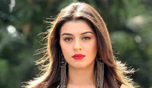 Hansika Motwani Moves Bombay High Court to Quash 498A FIR Filed by Sister-in-Law