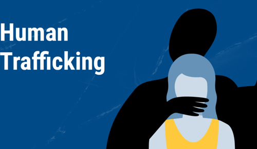 Punjab & Haryana High Court Asks Punjab Govt To Regulate Spa Centres Amid Prostitution Racket Concerns