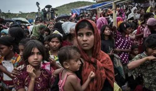 PIL in Supreme Court Alleges Forced Deportation of 43 Rohingya Refugees, Seeks Relief