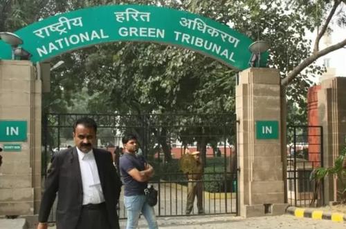 NGT Mandates CEC Approval, Geo-Tagging for Tree Felling in Large Projects