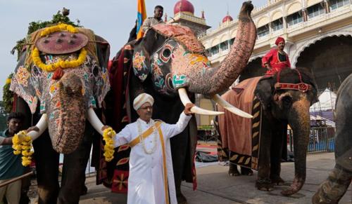 Kerala High Court Upholds Strict Liability of Elephant Owner and Handlers in Fatal Temple Attack