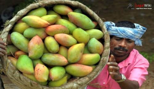 Karnataka CM Urges Andhra CM to Withdraw Ban on Entry of Totapuri Mangoes into Chittoor District