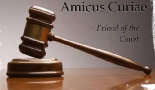 Who is an Amicus Curiae?