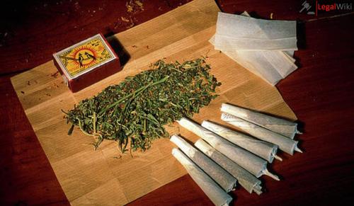 Is It Legal to Consume Weed in India for Religious Purposes?