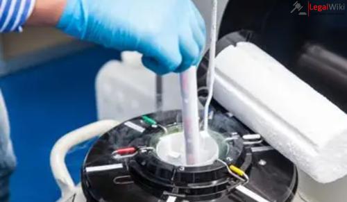 Bombay High Court Directs Preservation of Deceased Son’s Frozen Semen Amid Mother’s Plea