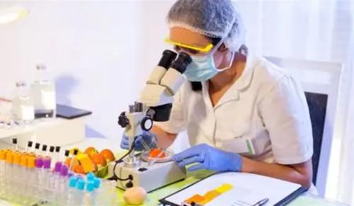 Saudi Arabia to Enforce Stricter Rules for Private Food Labs from 2025