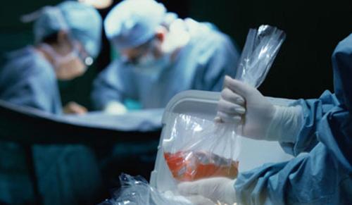 Kerala High Court Sets Aside Rejection of Kidney Transplant Between Family Friends