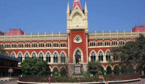 Calcutta High Court Calls For Reports On Stray Dog Sterilisation Amid Rising Bite Cases
