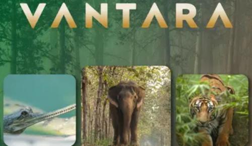 Supreme Court Clears Vantara of All Allegations, Bars Further Complaints Over Same Allegations