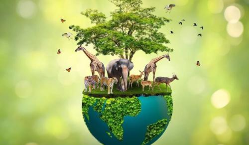 Kerala Becomes First State to Amend Wildlife Protection Act, 1972