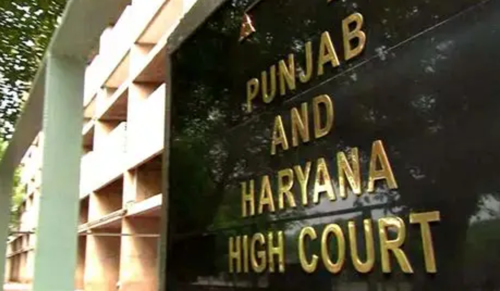 Punjab & Haryana High Court Says Business Can Be Curtailed to Protect Environment in Green Crackers Case