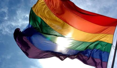 Section 498A Applicability to Same-Sex Couples Requires Adjudication: Delhi High Court