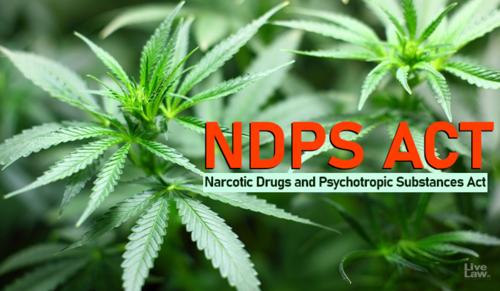 Ganja Covers Only Flower or Fruit, Not Stem or Stalk: Madras High Court