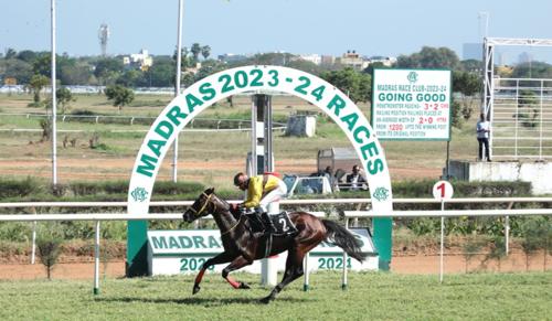 Supreme Court Restricts Tamil Nadu Government from Eco-Park Works on Madras Race Club Land