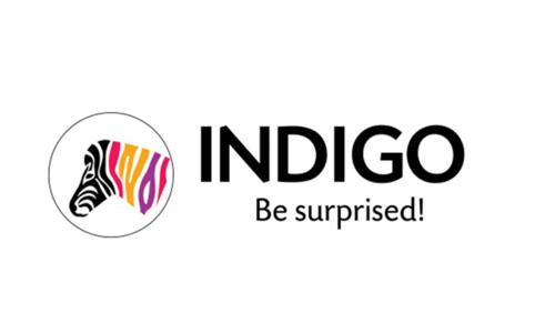 Indigo Paints and Mahindra Move to Delhi High Court After Failed Mediation Over 6E Trademark