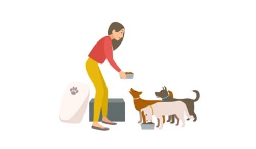 Husband Seeks Divorce Alleging Wife’s Obsession With Stray Dogs: Gujarat High Court