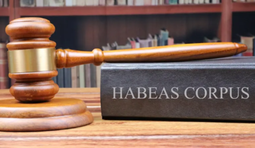 Madhya Pradesh HC rejects family's habeas corpus plea after noting woman is a major