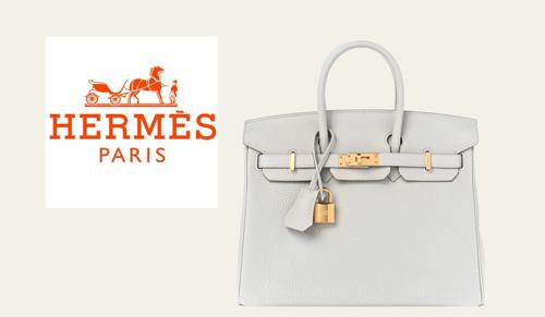 Delhi High Court Recognises Hermès Birkin Bag Shape As Well-Known Trademark