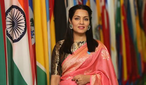 Celina Jaitly Moves Court Under Domestic Violence Act, Seeks ₹50 Crore Compensation