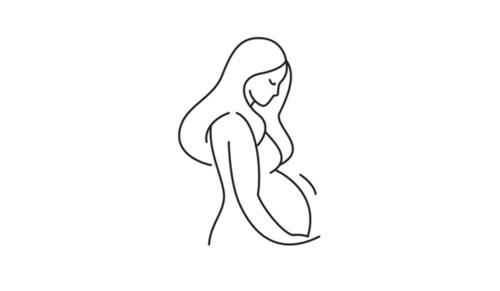 Delhi High Court Grants Divorce to Husband, Rules Wife’s Pregnancy Does Not Nullify Cruelty