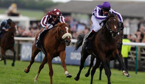 Delhi High Court Declines Stay on ‘Family Unit’ Cap for Horse Race Entries