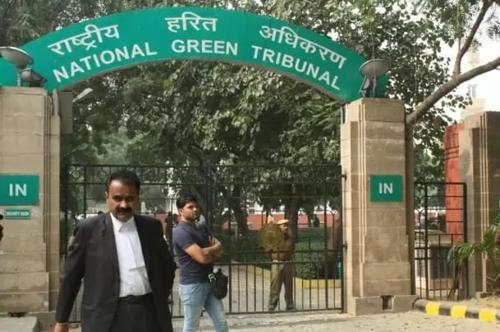 NGT Reserves Order in Suo Motu Case on Decline of Native Fish Species in Yamuna