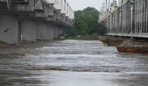 Delhi High Court Orders Fencing Of Yamuna Floodplain Graveyard & Bans Residential Use