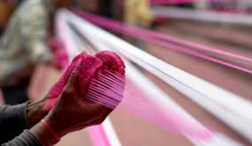 Bombay High Court Slams Maharashtra Govt over Nylon Manjha Menace