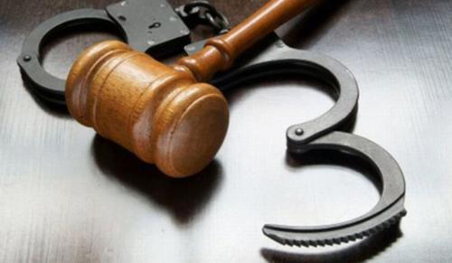 Bail Granted to Bharat Mathur in DGCA-Linked Drone Import Bribery Case