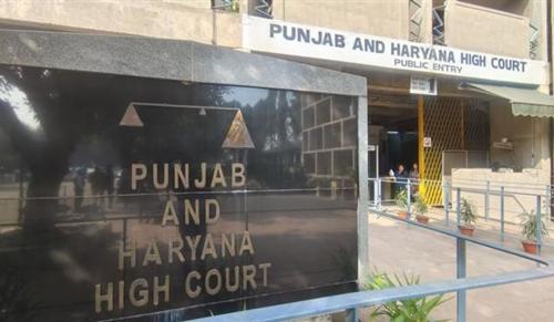 P&H High Court Flags Potential Political Vendetta Behind Raid on Trident Limited